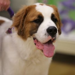 photograph by PeterW